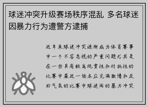 球迷冲突升级赛场秩序混乱 多名球迷因暴力行为遭警方逮捕