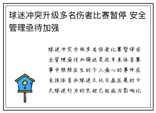 球迷冲突升级多名伤者比赛暂停 安全管理亟待加强