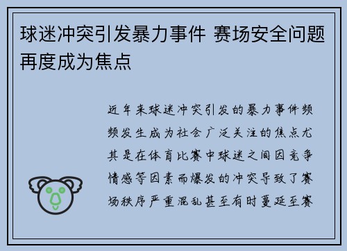 球迷冲突引发暴力事件 赛场安全问题再度成为焦点